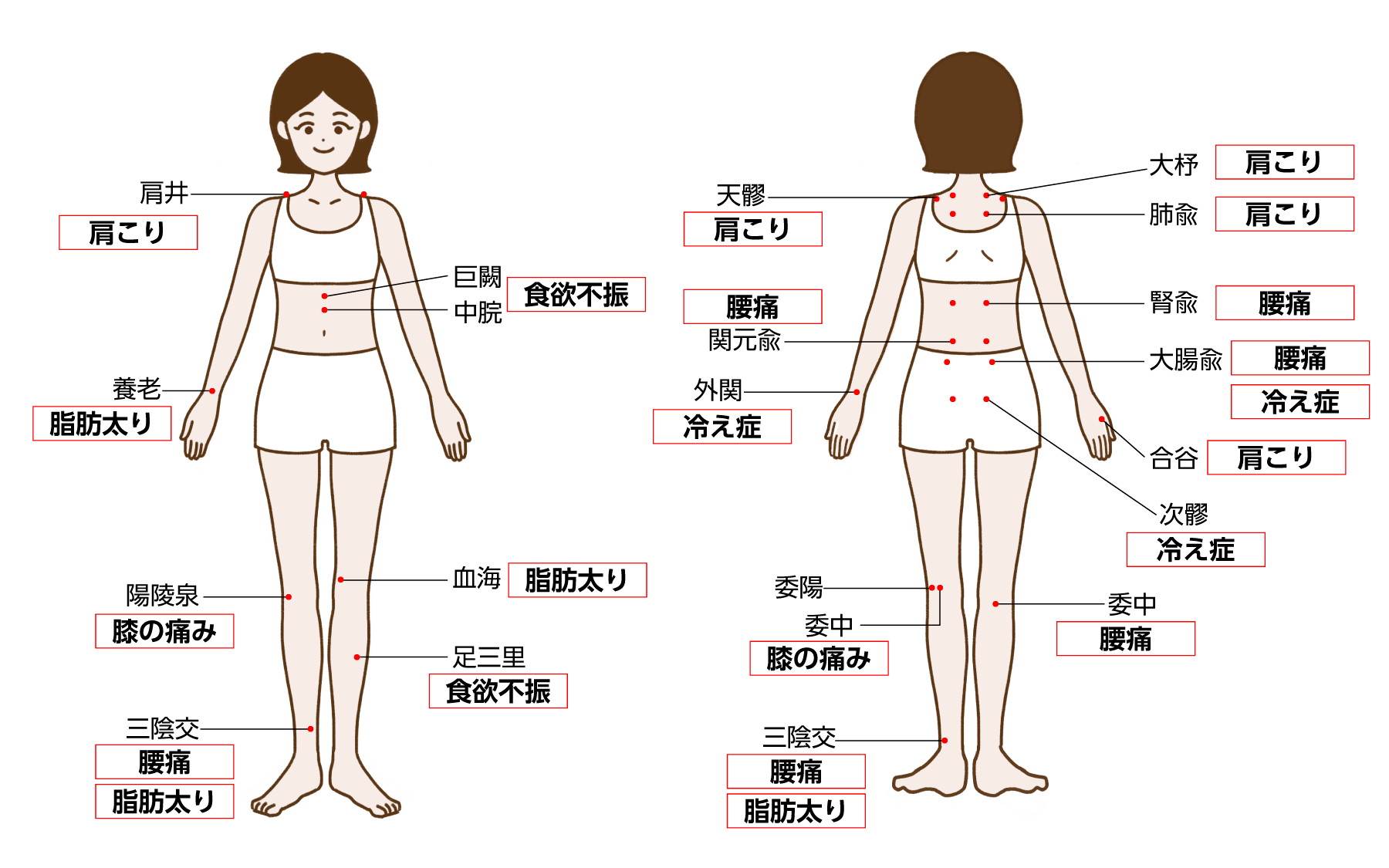 効能箇所前面イラスト